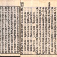011-ZN00281.jpg