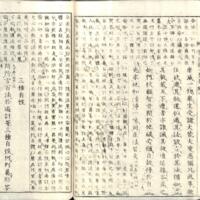 036-ZN00785.jpg
