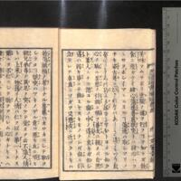 011-ZN00203.jpg