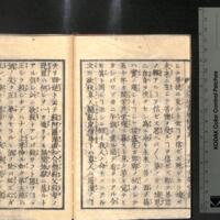018-ZN00203.jpg