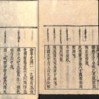 031-ZN00207.jpg