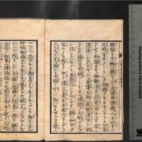 003-ZN00795.jpg