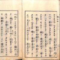 016-ZN01056.jpg