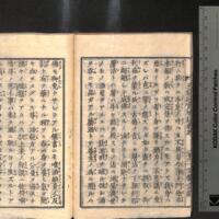 025-ZN00203.jpg