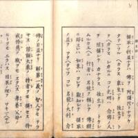 028-ZN01056.jpg