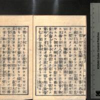 005-ZN00203.jpg