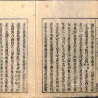 005-ZN00931.jpg