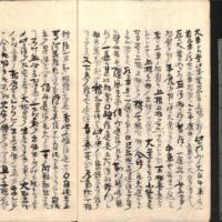 008-ZN01158.jpg