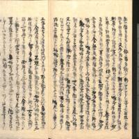 045-ZN01171.jpg