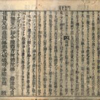 011-ZN00505.jpg