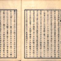 0016-ZN01227.jpg
