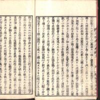 010-ZN00275.jpg