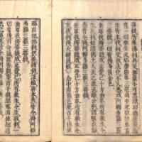 008-ZN00317.jpg