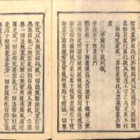 008_ZN00087.jpg