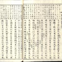 022-ZN00785.jpg
