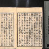 006-ZN00203.jpg
