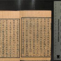 035-ZN01141.jpg