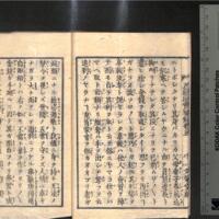 010-ZN00203.jpg