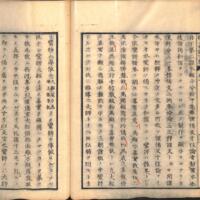 0048-ZN01223.jpg
