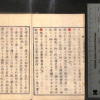 004-ZN00288.jpg