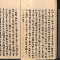 031-ZN00713.jpg