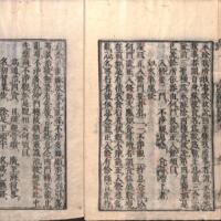 016-ZN00236.jpg