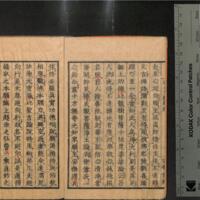 005-ZN01141.jpg