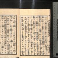 012-ZN00203.jpg