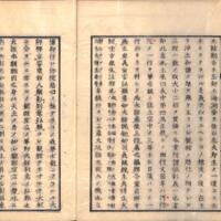 0005-ZN01227.jpg