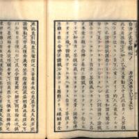 0036-ZN01228.jpg