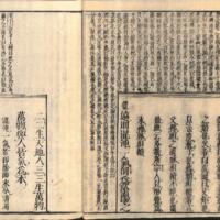 016-ZN01126.jpg